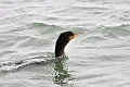 05 01 00_9384_edited-2